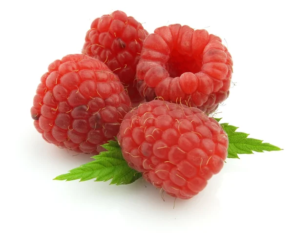 Raspberry dengan daun — Stok Foto
