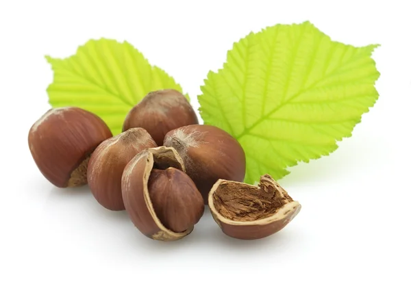 Dried hazelnuts with leaves — Stock Photo, Image