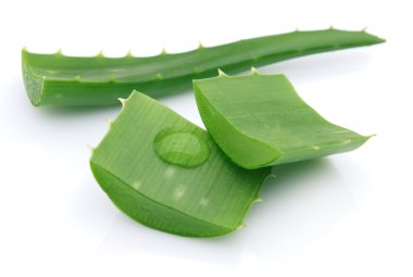 Aloe clipart