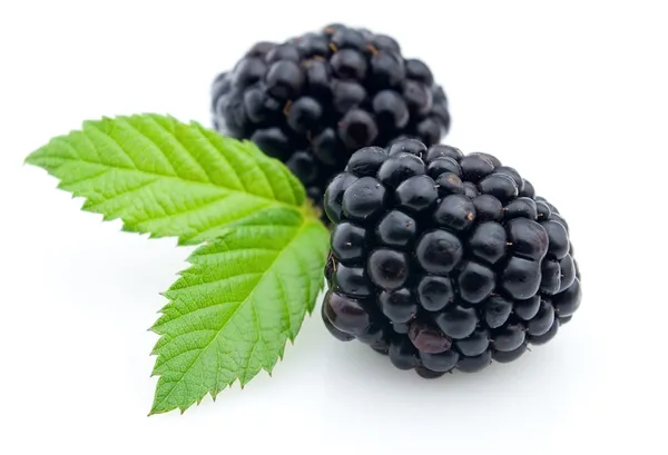 Ripe blackberry — Stock Photo, Image