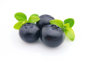 Blueberry clipart