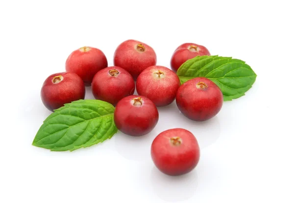小红莓与薄荷 — 图库照片