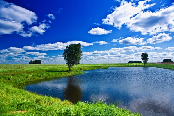Lake on a field — Stock Photo, Image