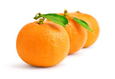 Three tangerine isolated clipart