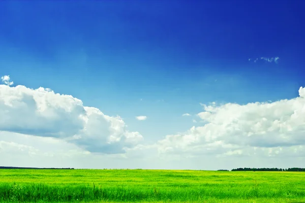 Зелене поле і хмарне небо — стокове фото