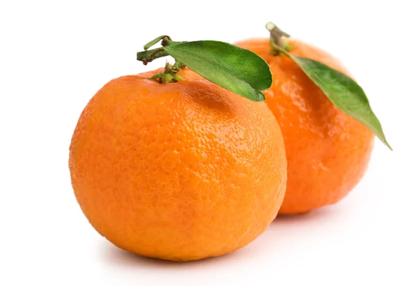 Duas tangerinas com folhas — Fotografia de Stock