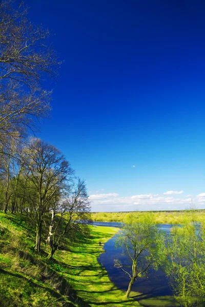 Wiev em um lago e borda de colina com árvore — Fotografia de Stock