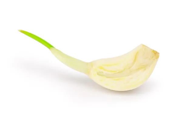 Section of Part of garlic — Stock Photo, Image