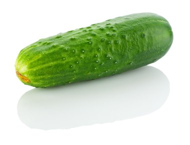 Isolated cucumber clipart