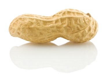Peanut isolated clipart