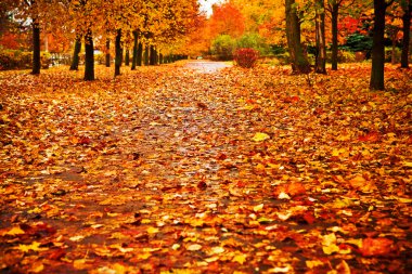 Red autumn park clipart