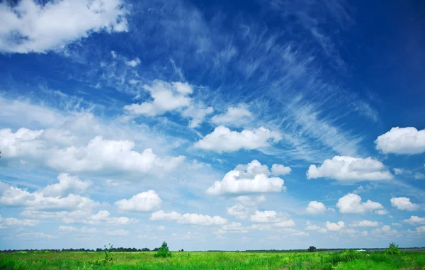 필드와 하늘 — 스톡 사진