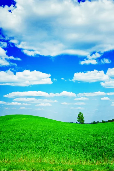 Зеленый холм и облака на небе — стоковое фото