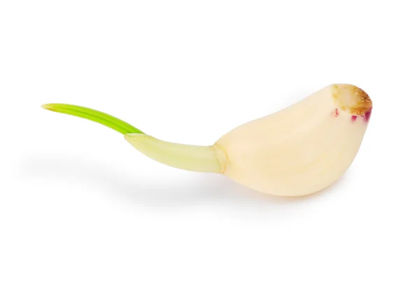 Part of garlic — Stock Photo, Image