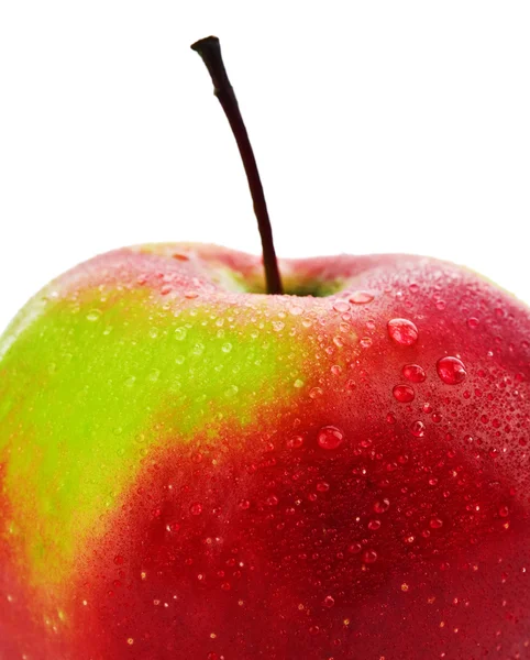 Isolated red apple close up — Stock Photo, Image