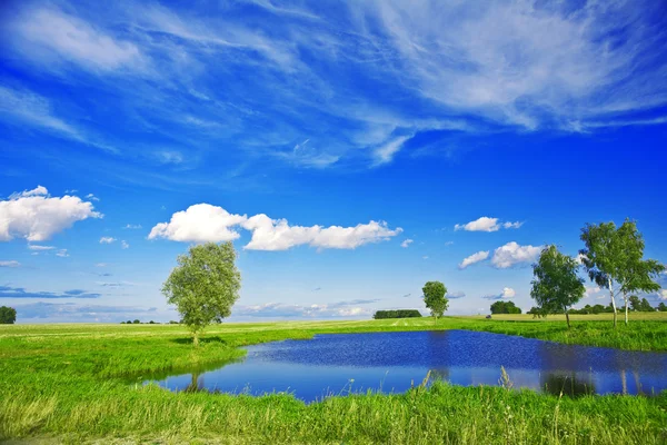 Small lake on field — Stock Photo, Image