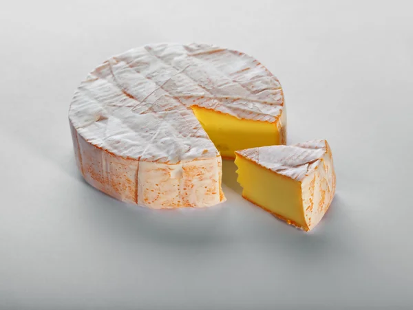 stock image Cheese with a white mould on gray background