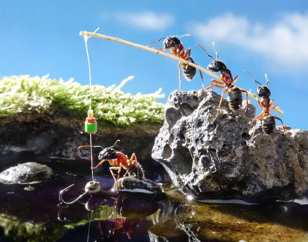 Team of ants fishing with rod — Stock Photo, Image