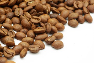Kahve çekirdeği