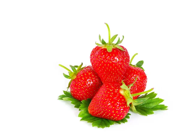 stock image Strawberry