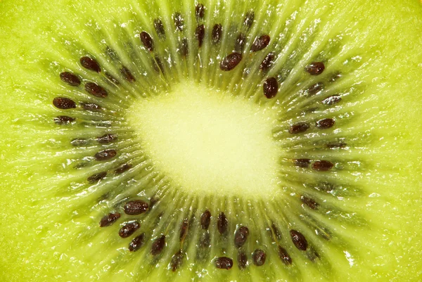 Kiwi — Stock fotografie