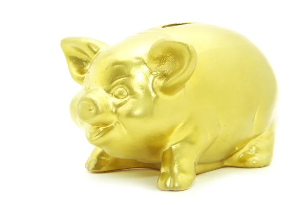 Golden piggy bank — Stock Photo, Image