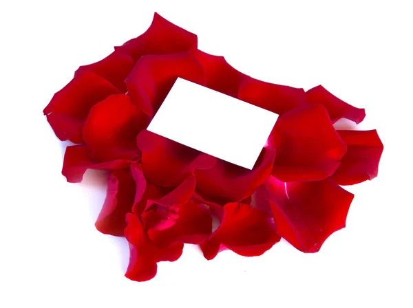 Message on a petals — Stock Photo, Image