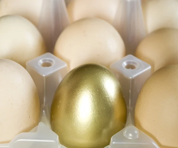 Gold egg — Stock Photo, Image