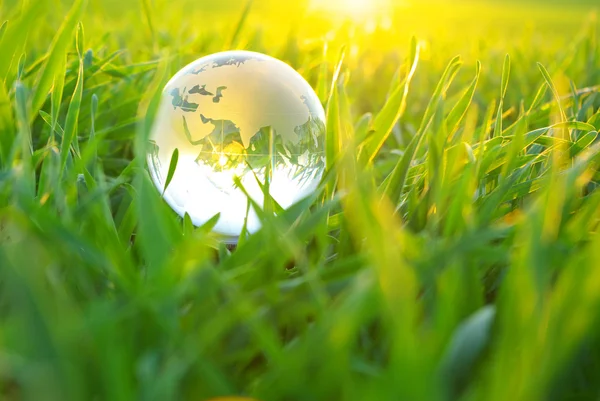 Globe v trávě — Stock fotografie