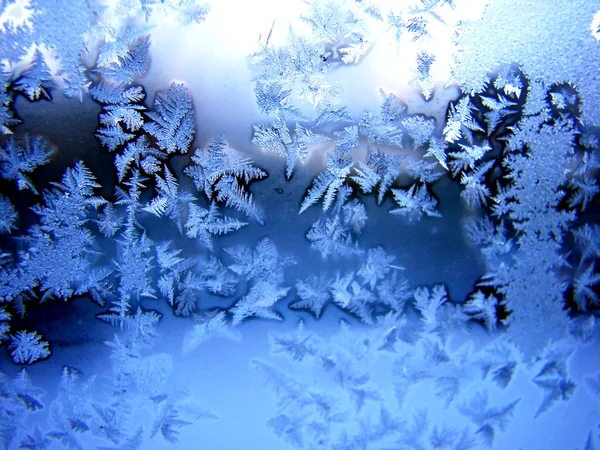 Padrão de inverno — Fotografia de Stock