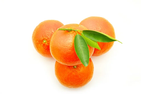 Mandarine; — Stockfoto