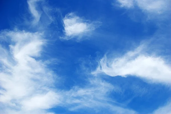 stock image Sky