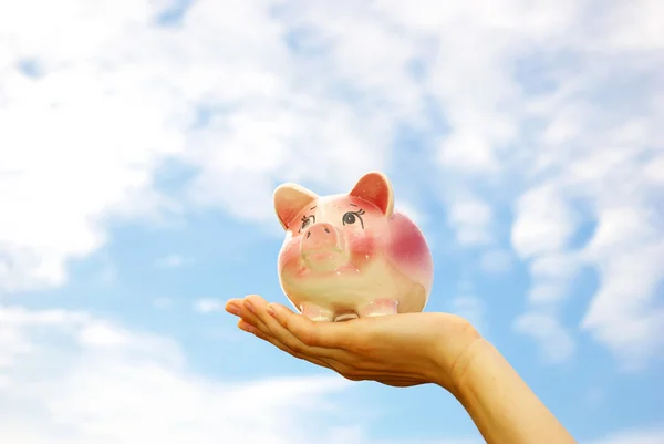 stock image Piggy bank