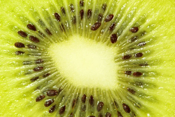 Kiwi — Stock Photo, Image