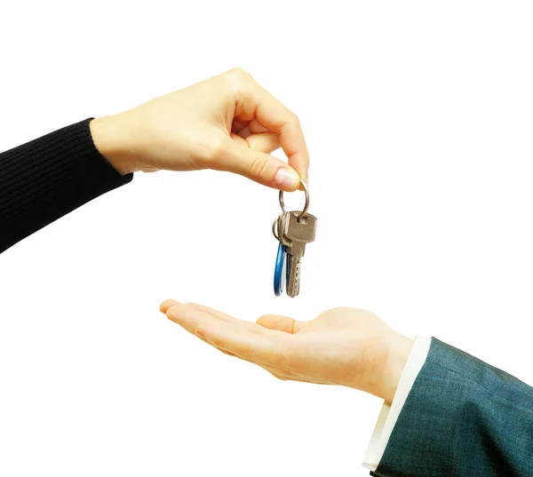 Hand holds a key Stock Picture