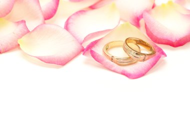 Wedding rings clipart