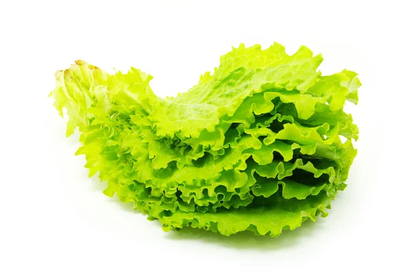 Leafs of cabbage — Stock Photo, Image