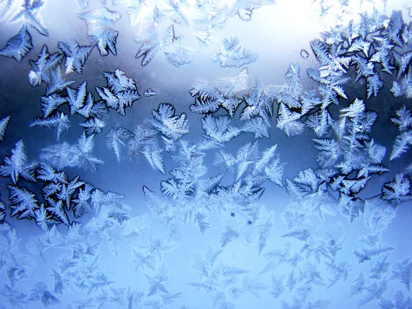 Winter pattern — Stock Photo, Image