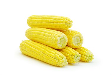 Mısır