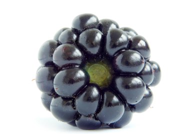 Blackberry