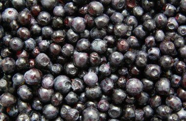 Blueberry background clipart