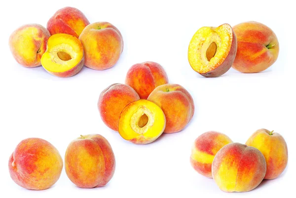 Персики на білому — стокове фото
