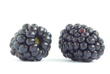 Blackberry