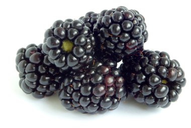 Blackberry