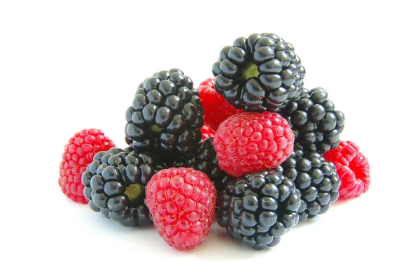 黑莓和覆盆子 — 图库照片