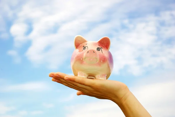 stock image Piggy bank