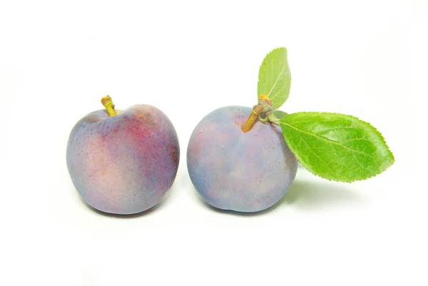 Plommon frukt — Stockfoto