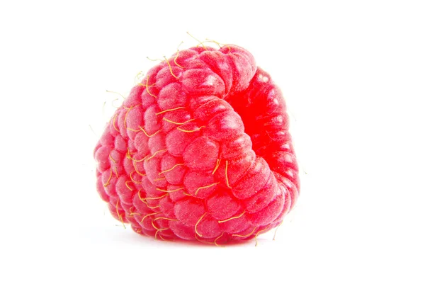 Raspberry Stock Image