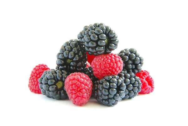 Framboos en blackberry — Stockfoto