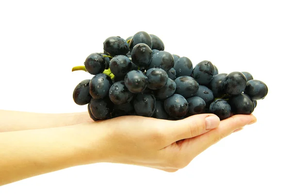 Grape in hand — Stock Photo, Image